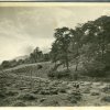 Walterclough Valley c.1900