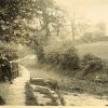 Bridge, Bottom Hall Beck